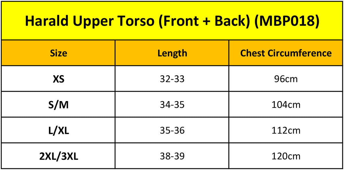 Harald Upper Torso (Front + Back)